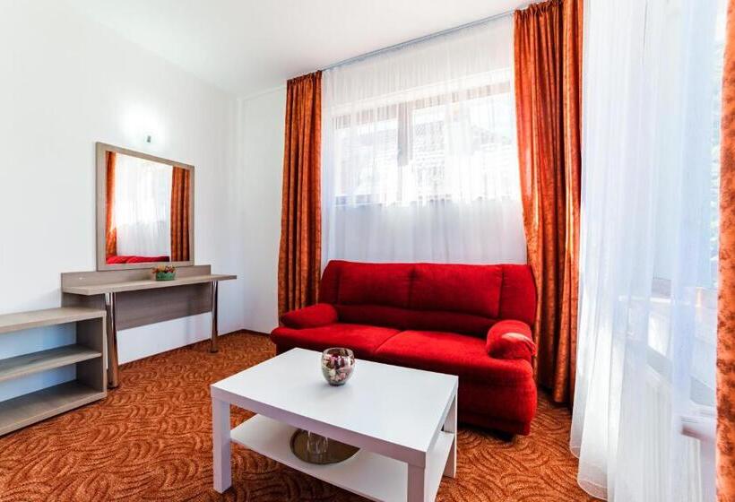 带大床的高级房间, Pensiunea Constanta