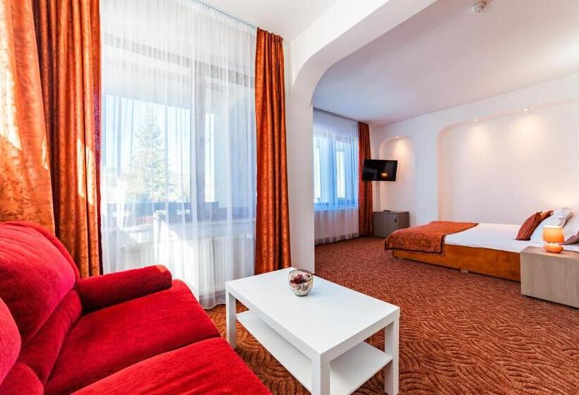 带大床的高级房间, Pensiunea Constanta