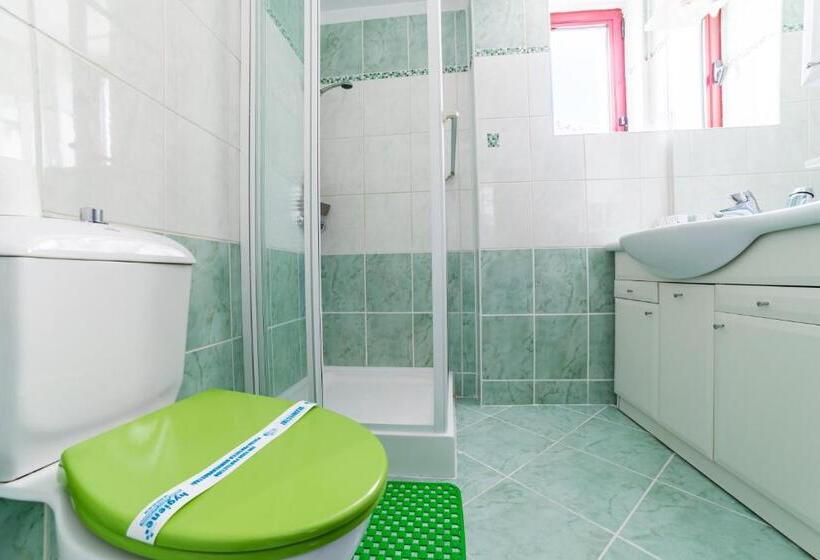 带大床的高级房间, Pensiunea Constanta