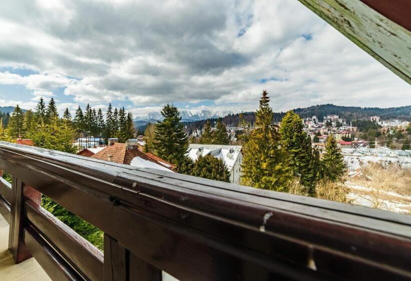 带大床的高级房间, Pensiunea Constanta