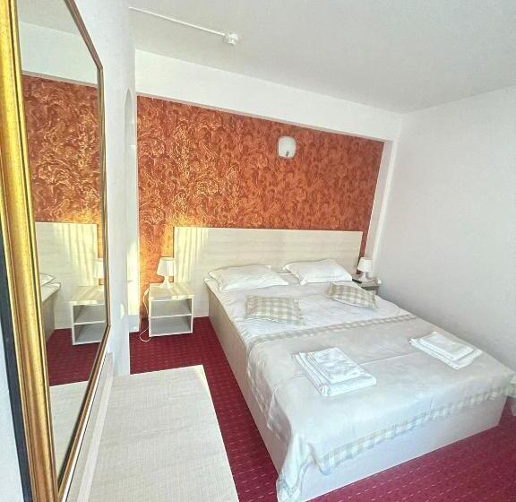 标准间带阳台, Pensiunea Constanta