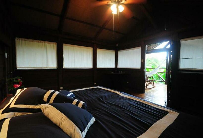 غرفة قياسية, La Anita Rain Forest