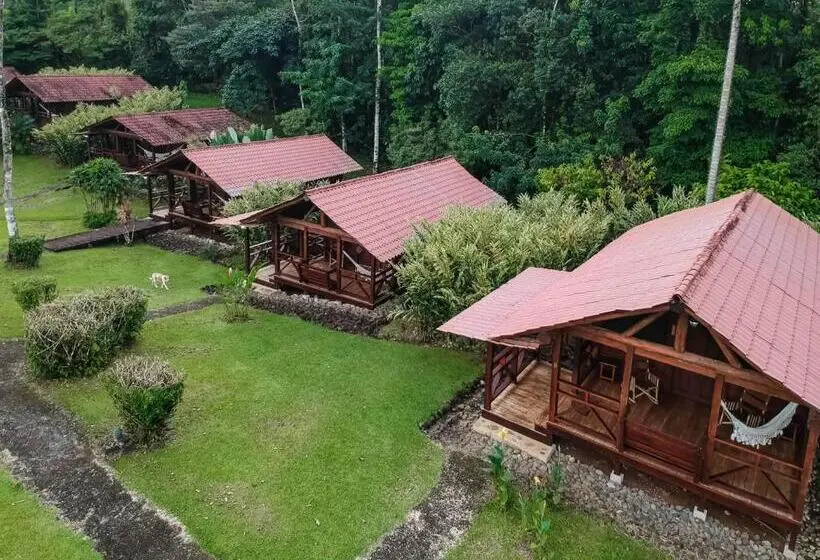 スタンダード4人部屋, La Anita Rain Forest