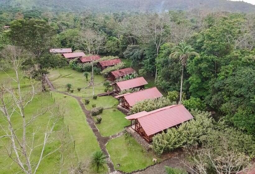 غرفة قياسية رباعية, La Anita Rain Forest