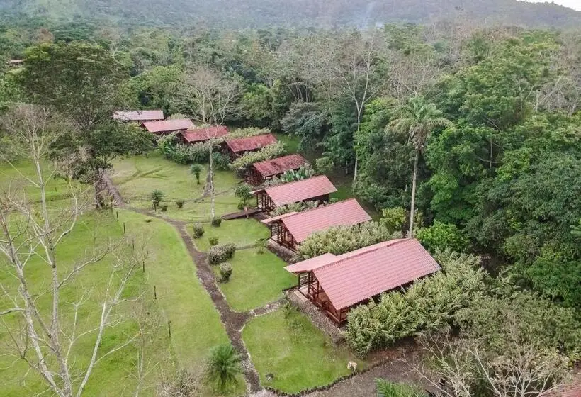スタンダード4人部屋, La Anita Rain Forest