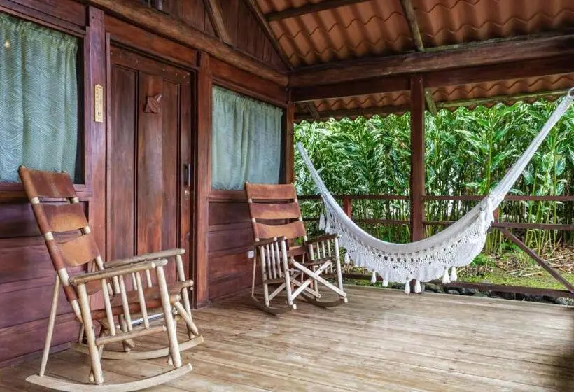 スタンダード4人部屋, La Anita Rain Forest
