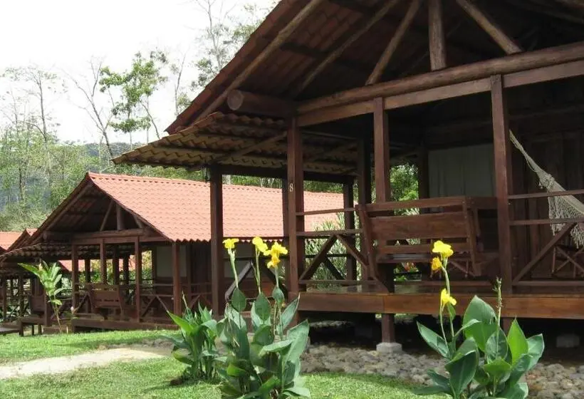 スタンダード4人部屋, La Anita Rain Forest