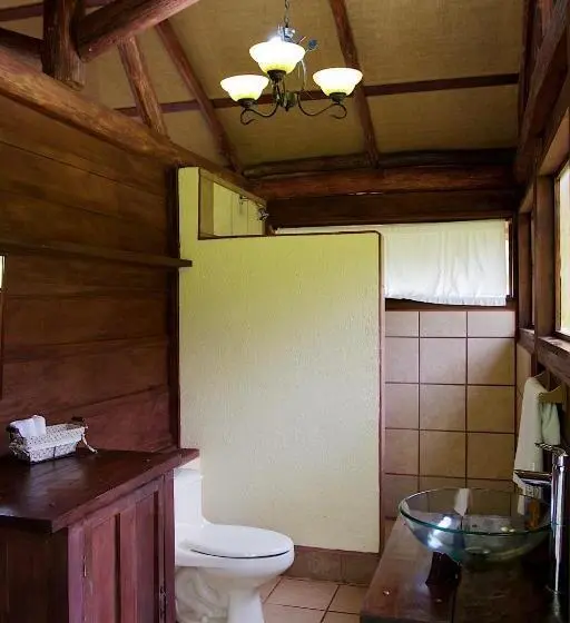 スタンダード4人部屋, La Anita Rain Forest