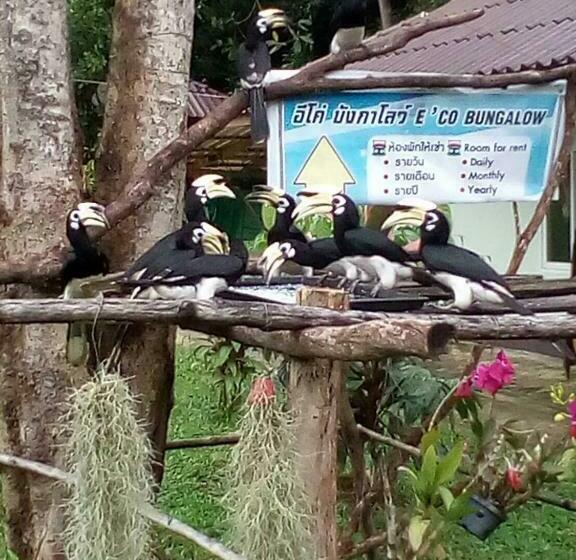 بنجلو قياسى, Eco Bungalow