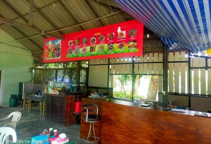 标准平房, Eco Bungalow
