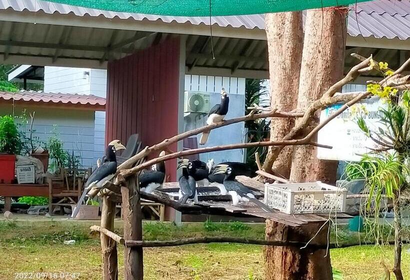 بنجلو قياسى, Eco Bungalow