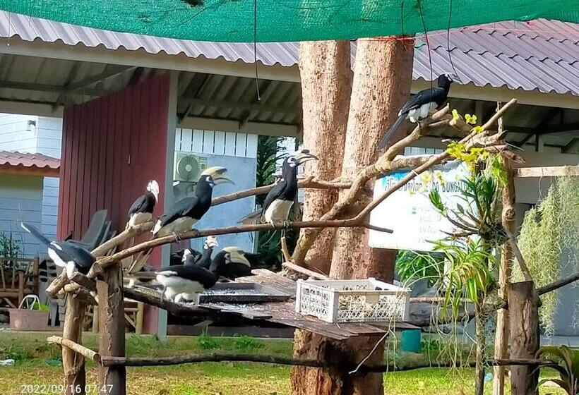 بنجلو قياسى, Eco Bungalow