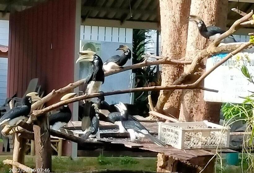 بنجلو قياسى, Eco Bungalow