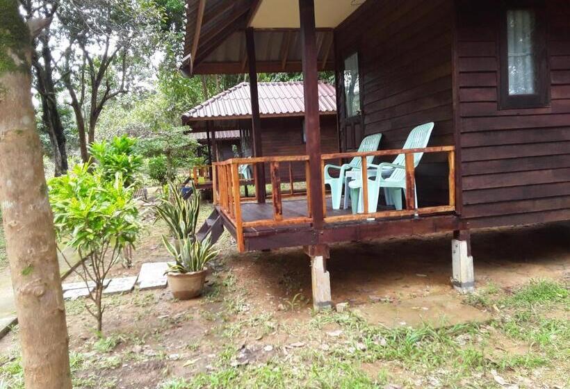 بنجلو قياسى, Eco Bungalow