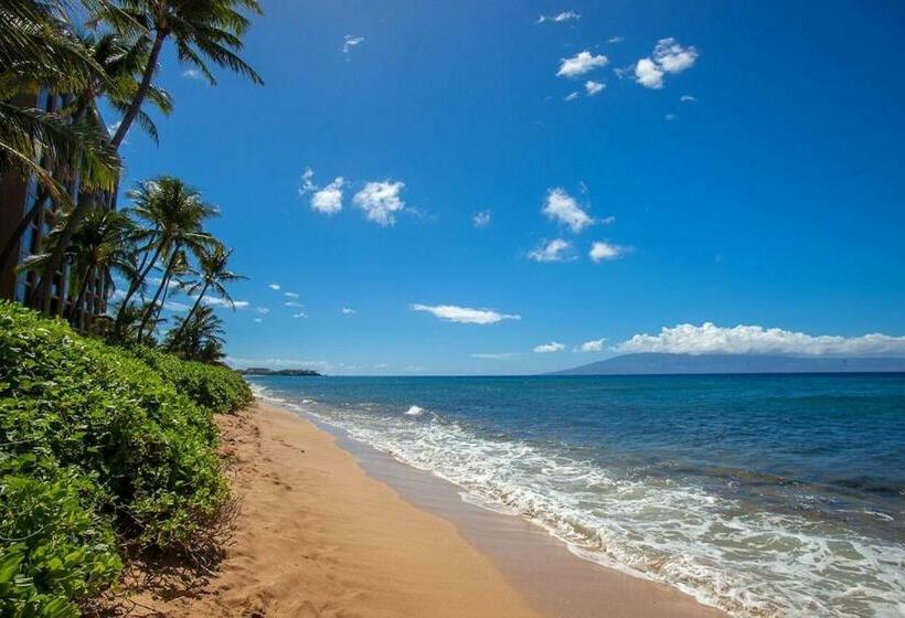 شقة غرفة واحدة, Mahana 316