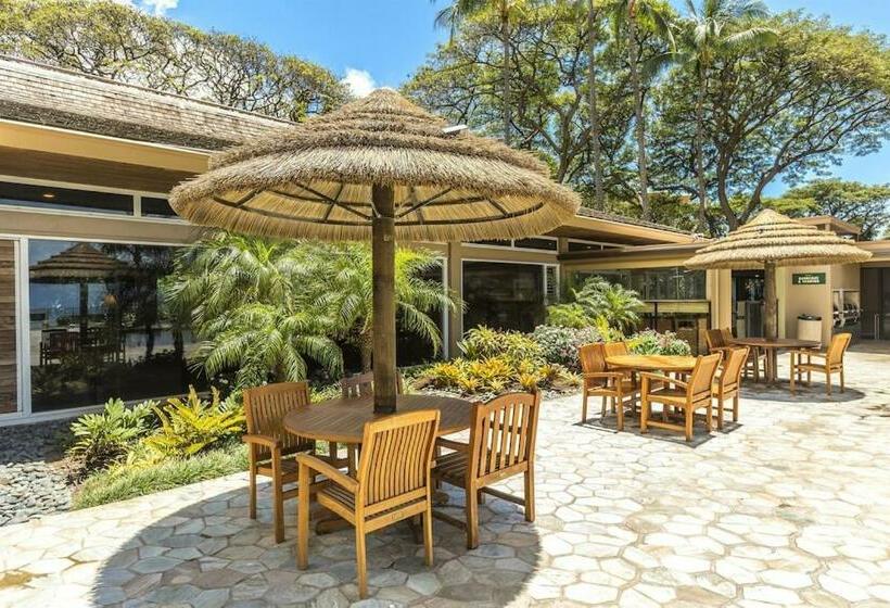 شقة غرفة واحدة, Mahana 316