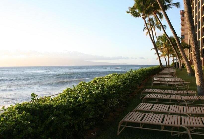 شقة غرفة واحدة, Mahana 316