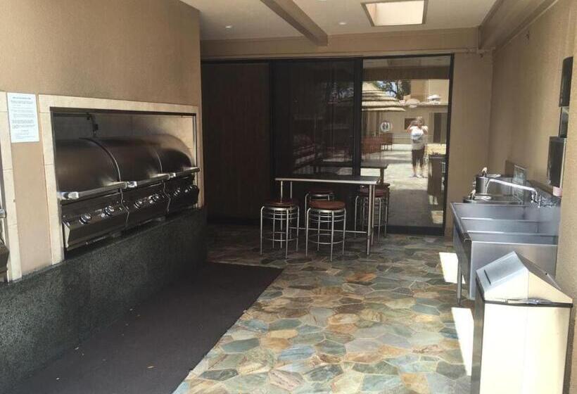 شقة غرفة واحدة, Mahana 316