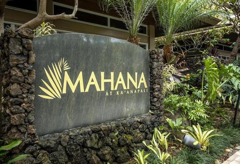 Апартаменты 1 Спальня, Mahana 316