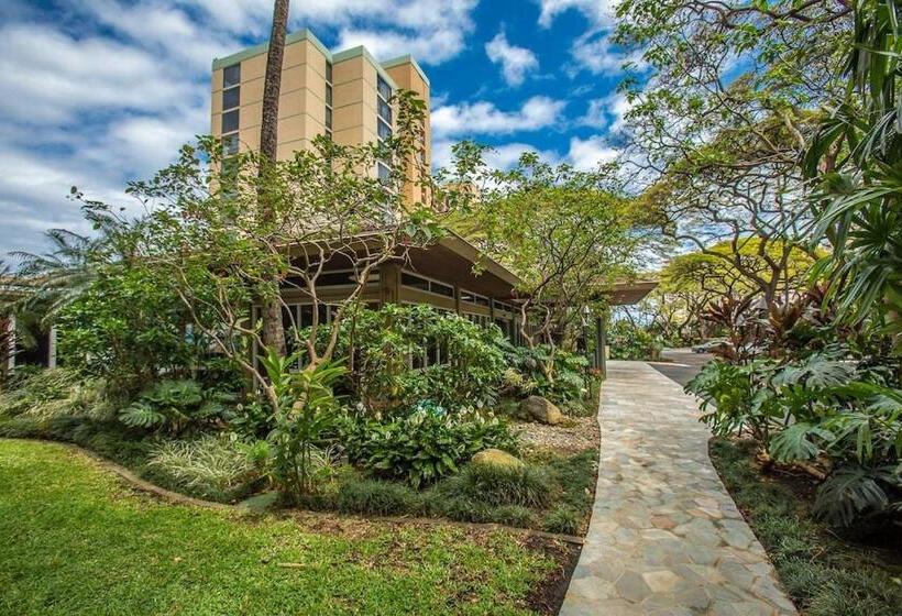 شقة غرفة واحدة, Mahana 316