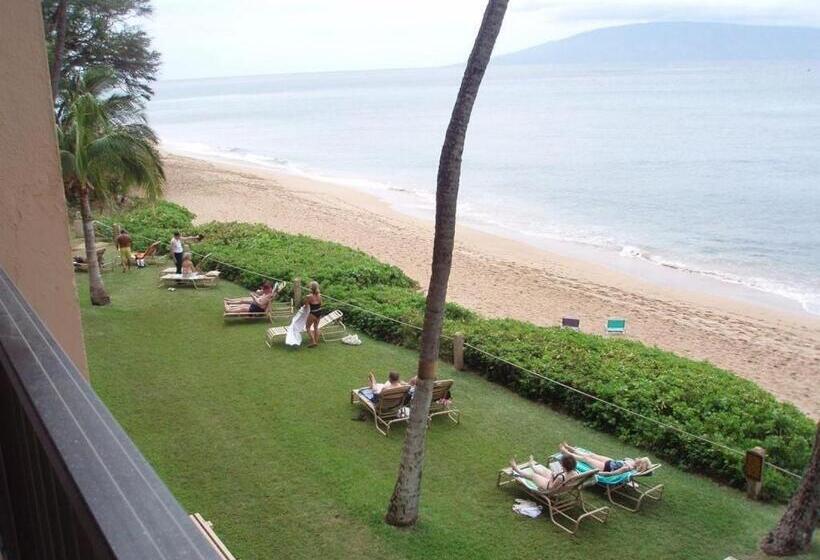 شقة غرفة واحدة, Mahana 316