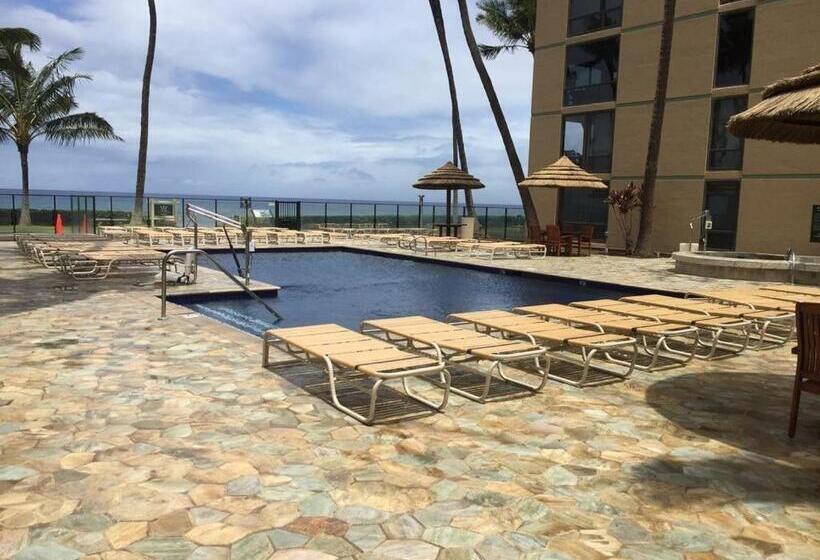 شقة غرفة واحدة, Mahana 316