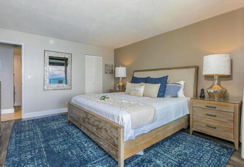 شقة غرفة واحدة, Mahana 316