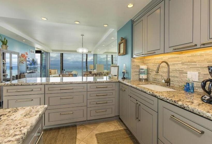 شقة غرفة واحدة, Mahana 316