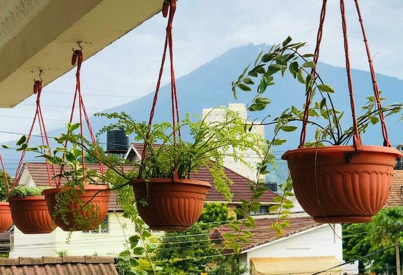 스탠다드 룸, Wakawaka House