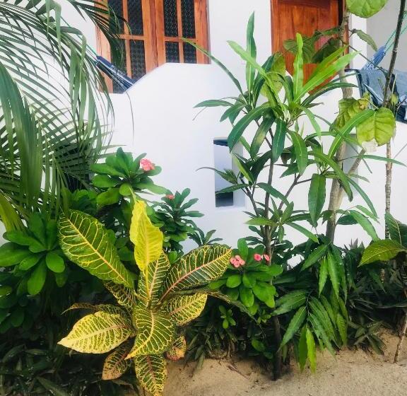 デラックスルーム, Lucky Bay