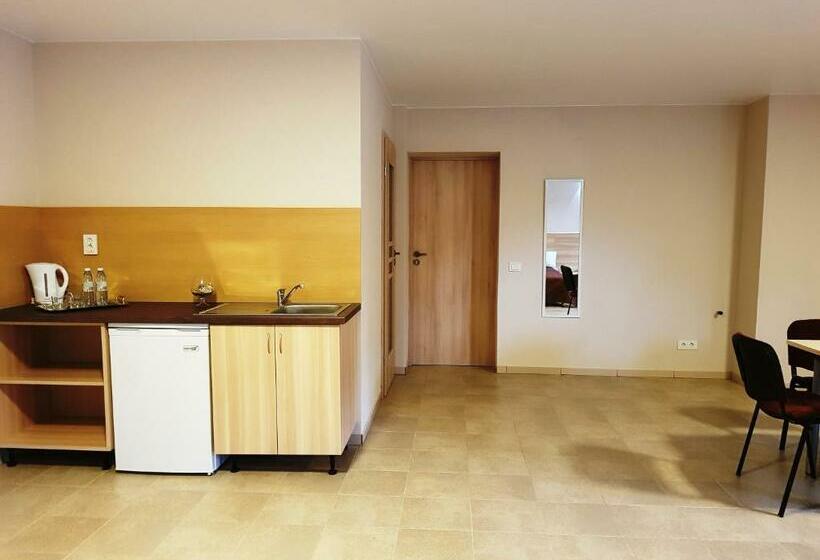 اتاق خانوادگی, Trakaitis Apartments In Villa