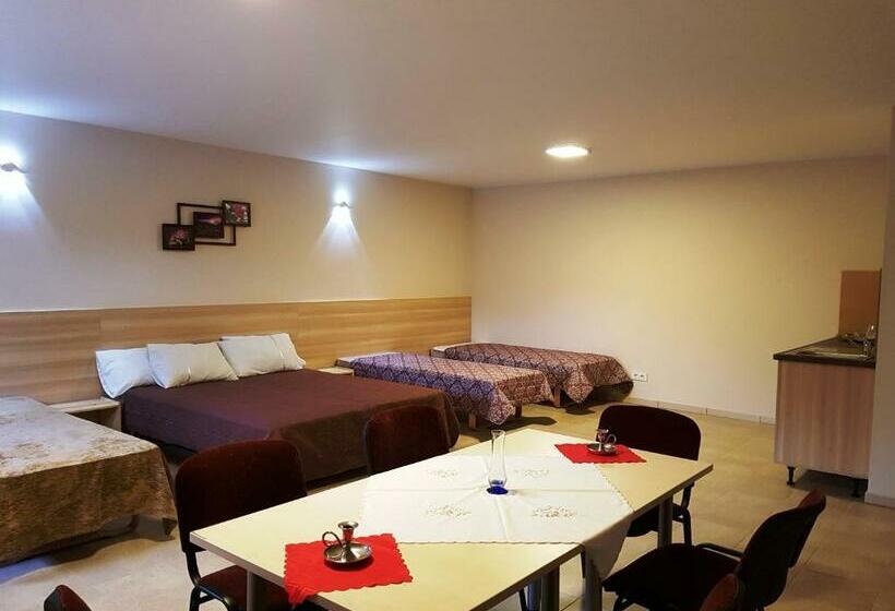 اتاق خانوادگی, Trakaitis Apartments In Villa