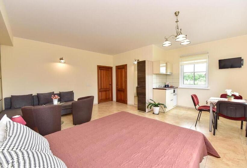 اتاق استاندارد چهار تخته, Trakaitis Apartments In Villa