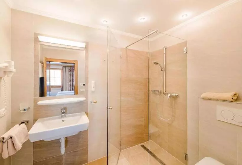 Standard-huone, Pension Waidmannsruh