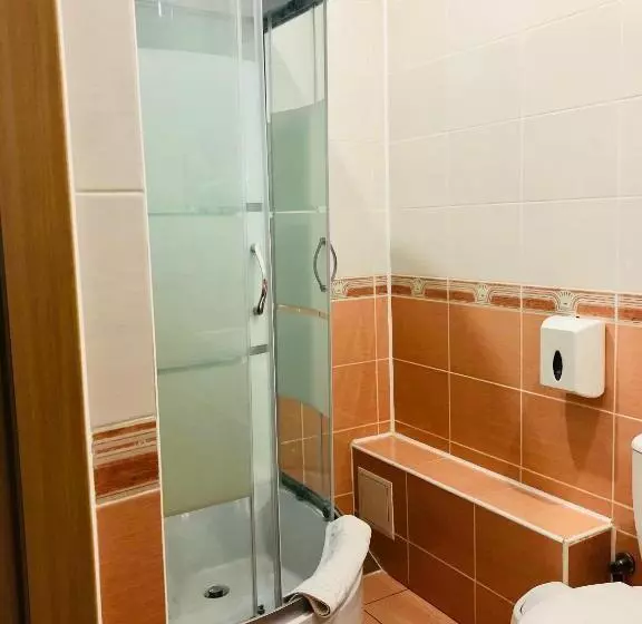 Standard-huone, Palace Ukraine