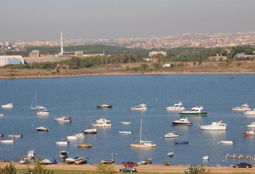 اتاق لوکس, Paradise Island