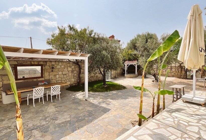 スタンダード4人部屋, Temucin