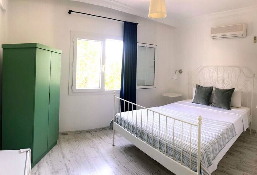 スタンダードトリプルルーム, Temucin