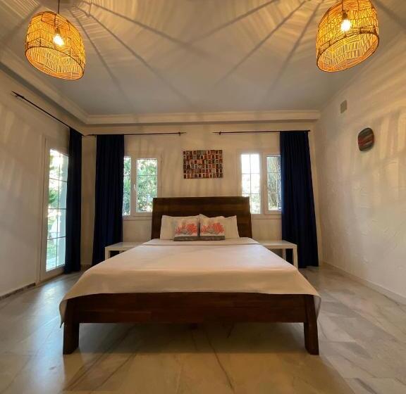 スタンダードルーム, Temucin