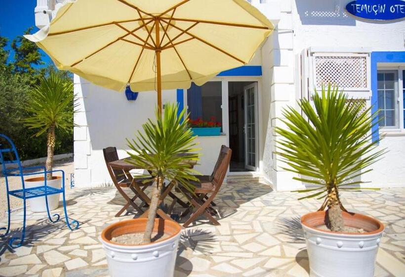 スタンダード4人部屋, Temucin