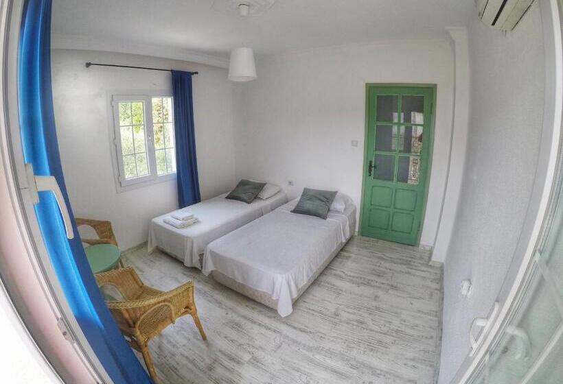 スタンダード4人部屋, Temucin