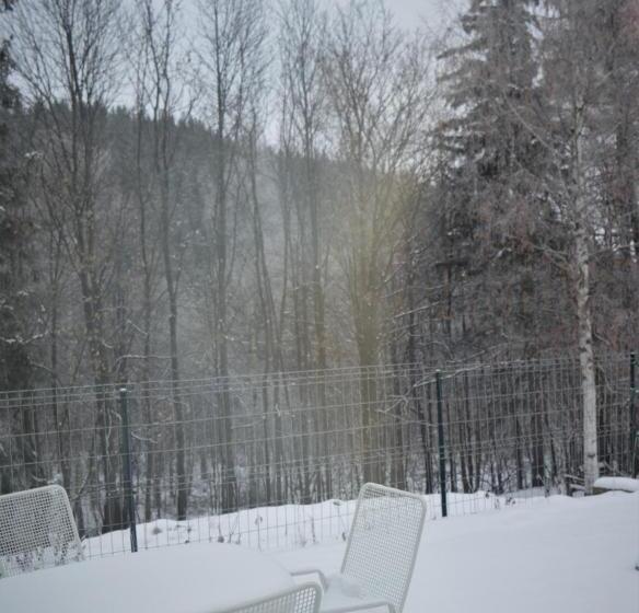 Апартаменты 1 Спальня, Zielony Domek