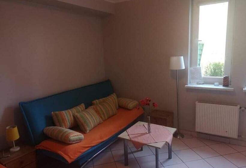 Студия Стандарт, Zielony Domek