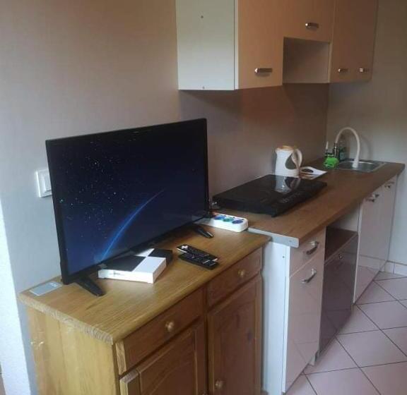 Студия Стандарт, Zielony Domek