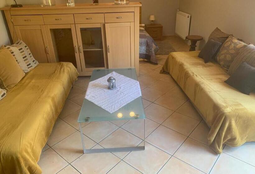 Студия Стандарт, Zielony Domek