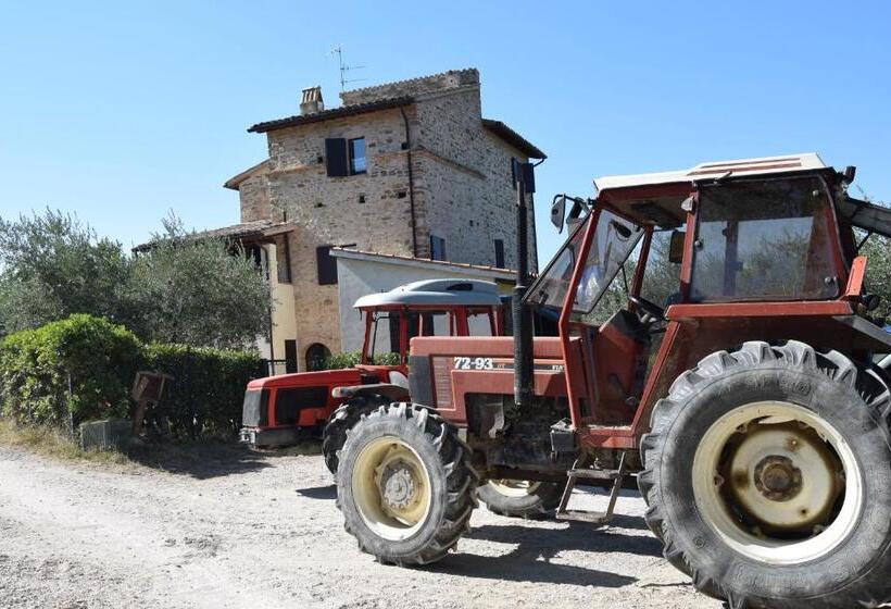 דירת חדר, Maestà Delle Quattro Chiavi