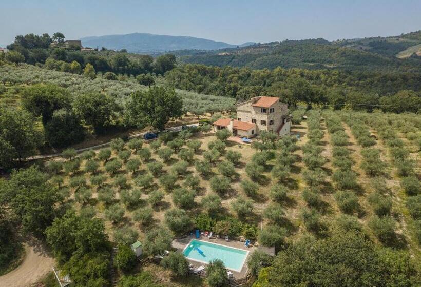 דירת פנטהאוז 1 חדרי שינה, Maestà Delle Quattro Chiavi