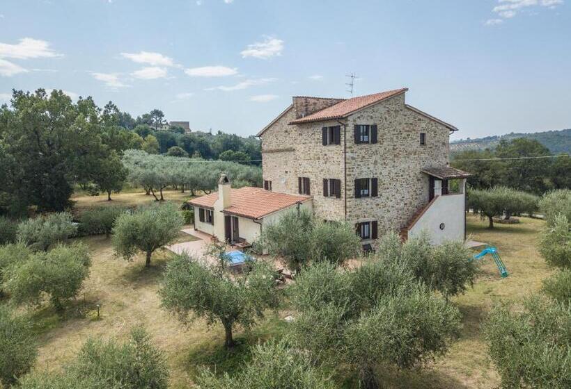 דירת פנטהאוז 1 חדרי שינה, Maestà Delle Quattro Chiavi