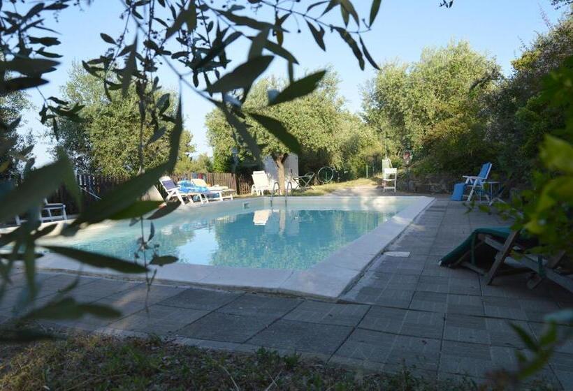 דירת פנטהאוז 1 חדרי שינה, Maestà Delle Quattro Chiavi