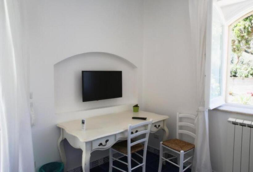 テラス付きスタンダードルーム, Avocado B&b Beyond